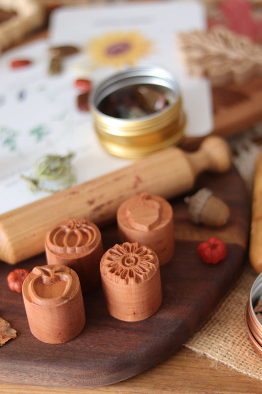 Autumn Nature Play Dough Stamp Set